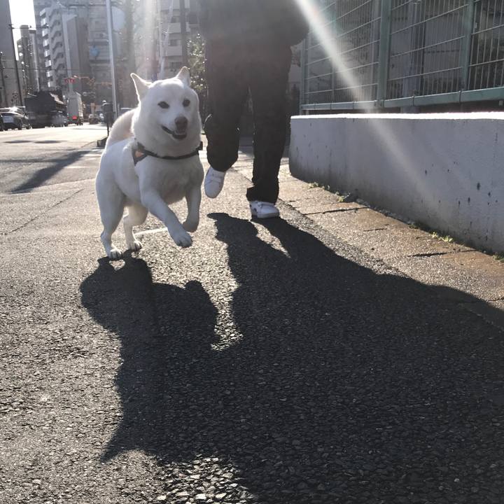 6c175ba1 bd1b 4da4 80b7 c83aa6cef8a5 1582242181804