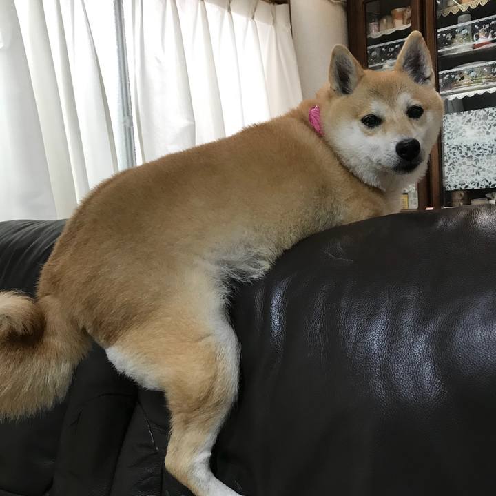 6c176d30 e792 44de 874e c69d421b8710 1530339437693