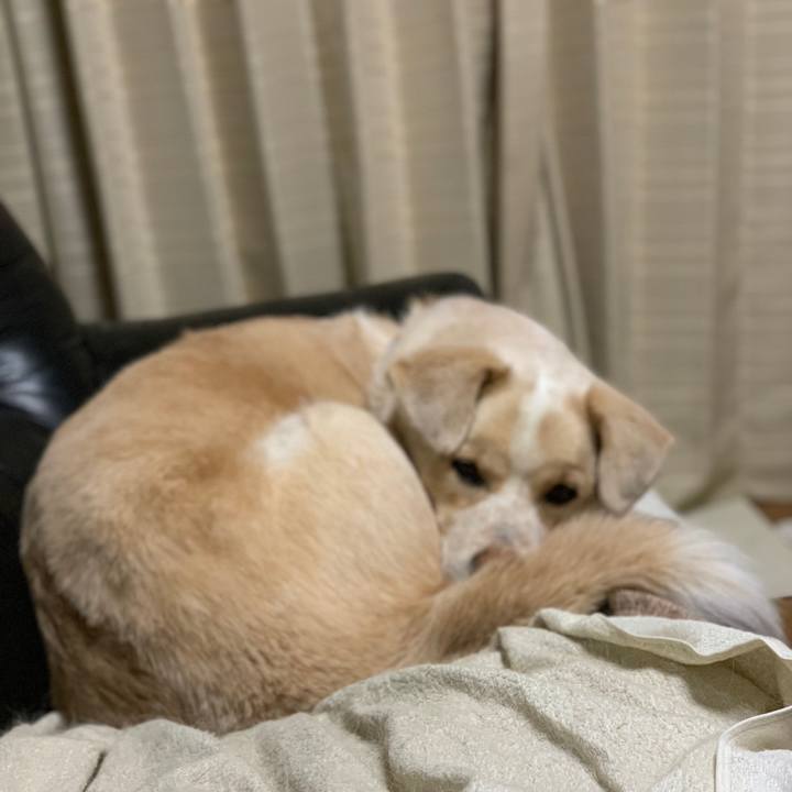 6c17cc16 cb98 44fb 85d7 d57c2bb15709 1553010974640