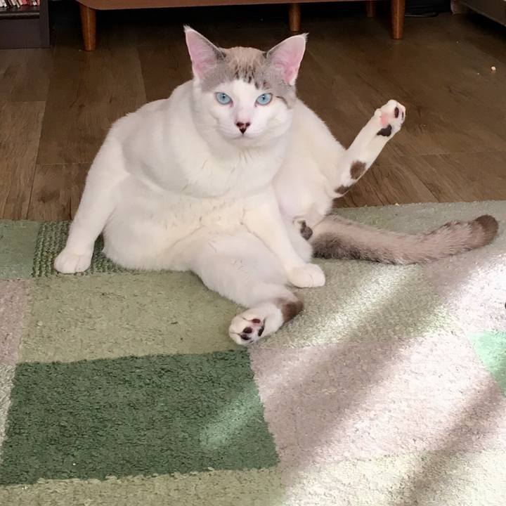 6c17e72e c990 49bb a672 c11c058c9b7d 1550297803964