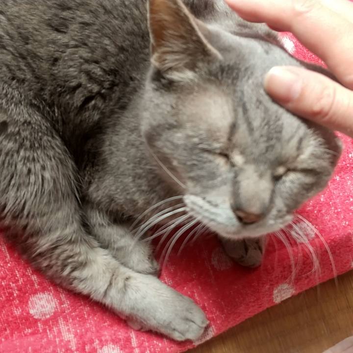 6c183117 3bb8 4db0 8fd2 b2d18c6917f1 1681369865695