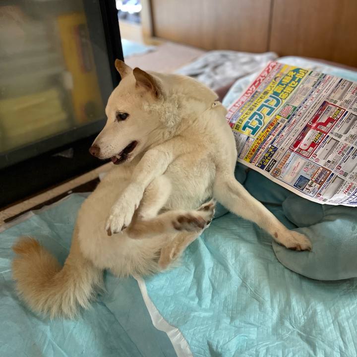 6c183e69 dd0b 4d5e a6a2 c0badaa354d4 1653284903915