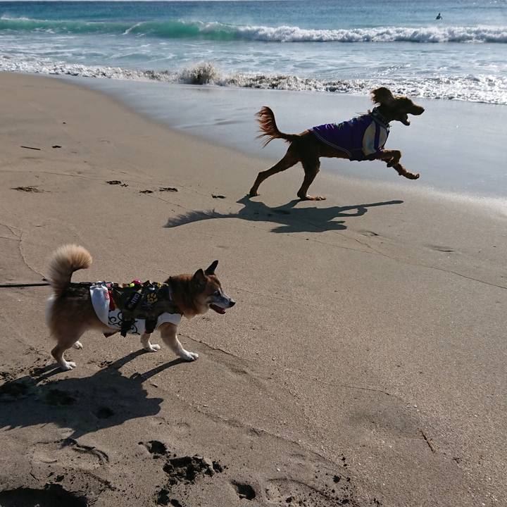 6c1874c2 aed6 4ac4 8791 fd16f8b14e17 1578033410198