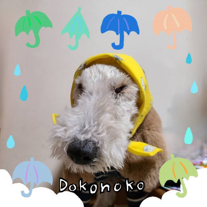 6c187ff4 6764 40fe 9166 ee642460c1a6 1717582084759