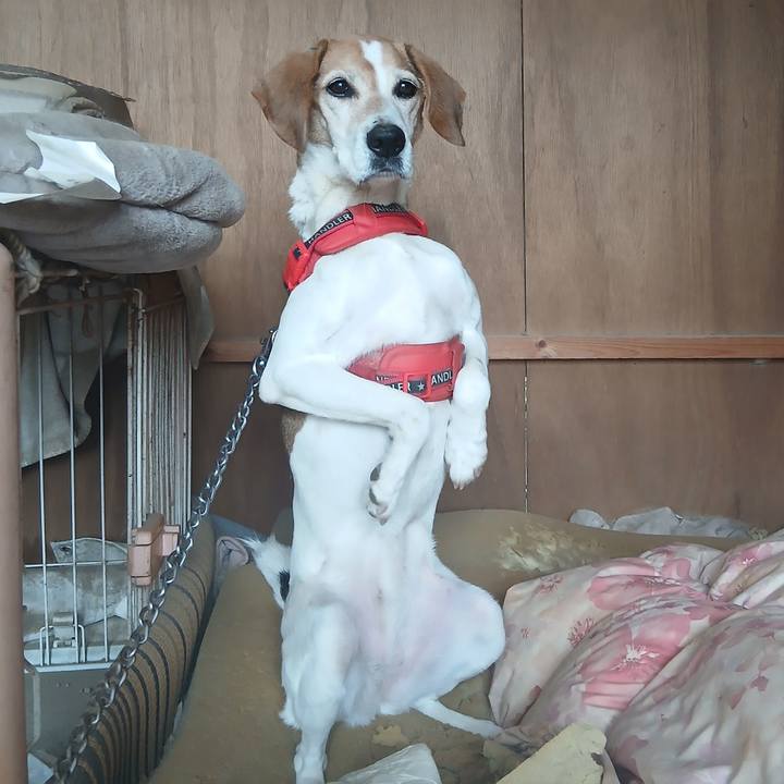 6c188d11 339c 4232 af7c 1e19ac6ca7bb 1775565301166