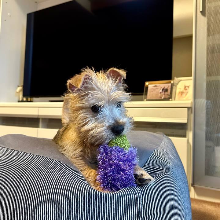 6c18aa3c 7a24 46f8 9f4b 688583c06713 1704638919434