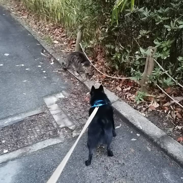 6c18bd29 309a 4aac 85d0 9c1d1289fa87 1611526240637