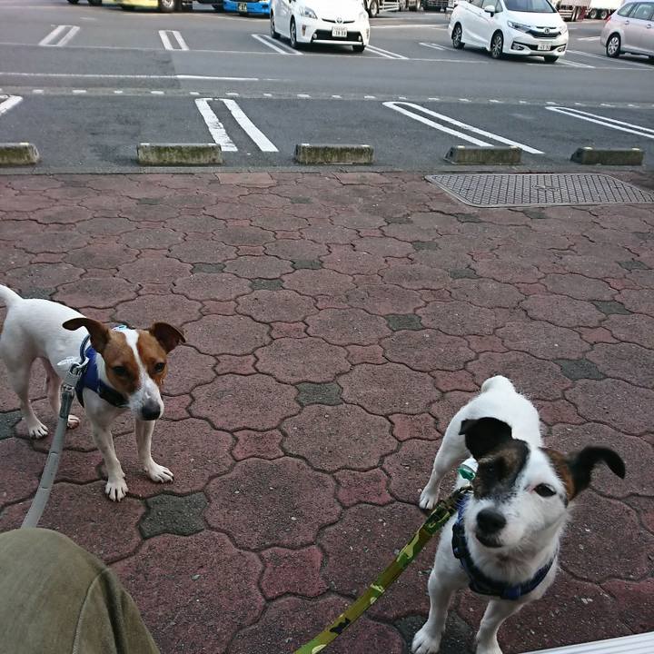 6c18c68e ccd2 4e72 b701 6abc8c9666ab 1531906735046