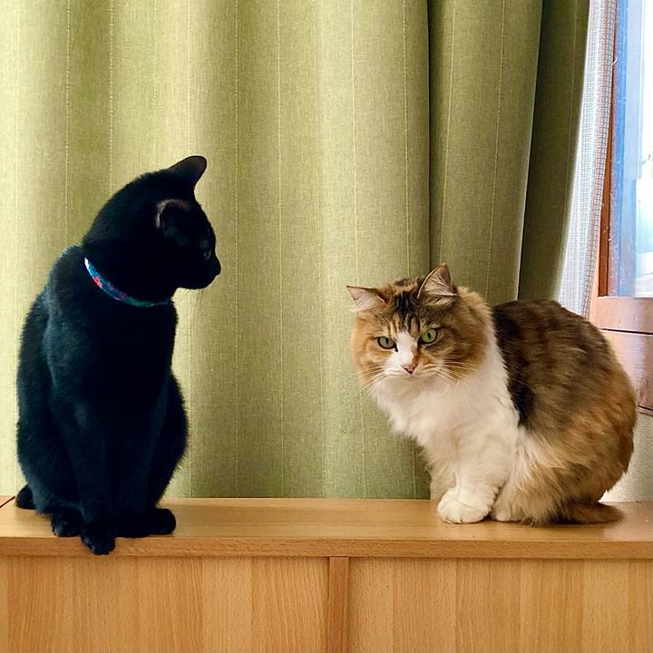 6c18e9ca d7e9 4b23 b44c 5eeea6cd9862 1645775698940