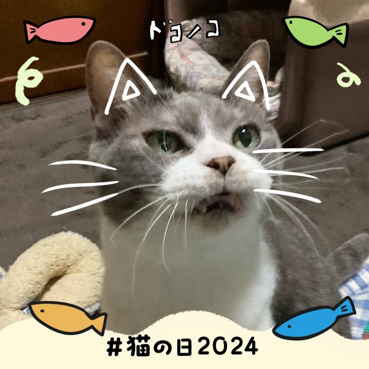 6c18f725 8dd1 46e3 89c1 9d98df37c67e 1708583750705