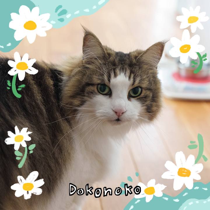 6c18f77b 075b 43dc b666 1fb55e8fe3a6 1712800389611