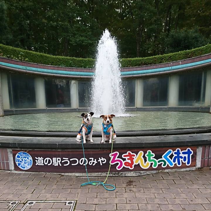 6c18feb6 70df 4dc9 9b59 ea804d315081 1572742353890