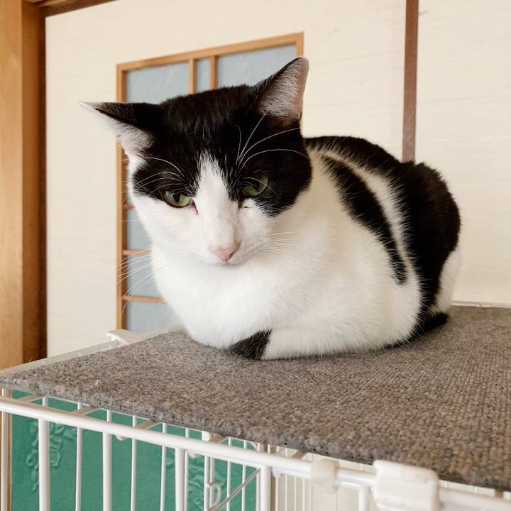 6c1921a7 2619 416e 89fc 5bfff377817f 1542508161107