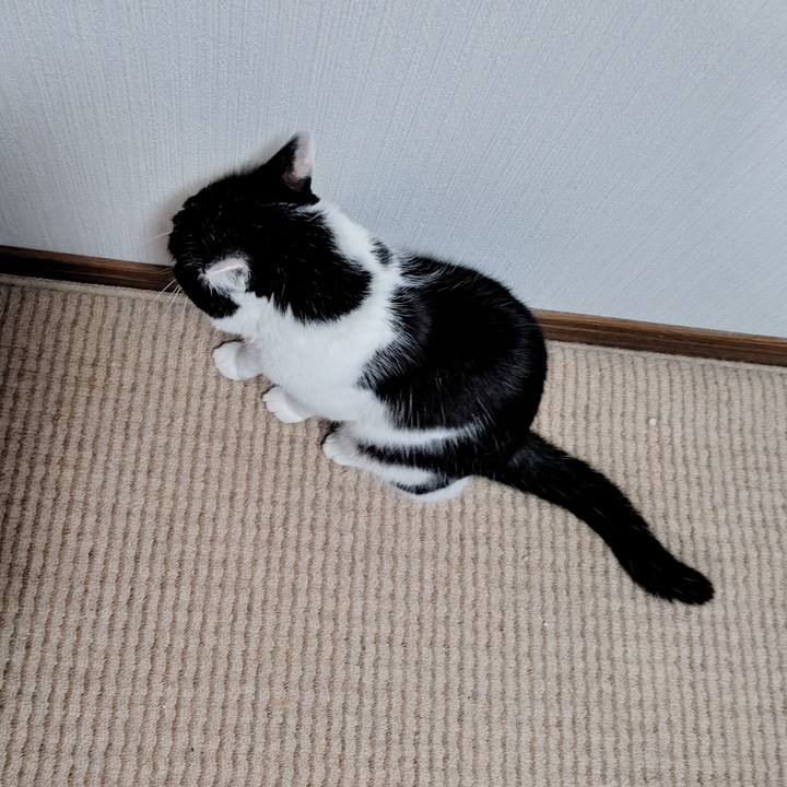 6c192ee7 cc1a 4504 b100 1ef9cf774809 1760794665298