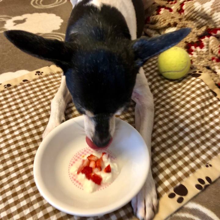 6c193c1c a18b 45da 96e1 dfd49e062a5d 1548369843817