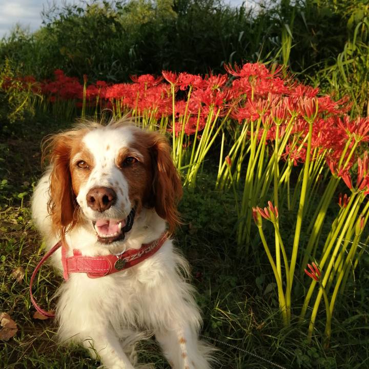 6c195846 3934 4c89 83c0 197017a082fb 1632049001170