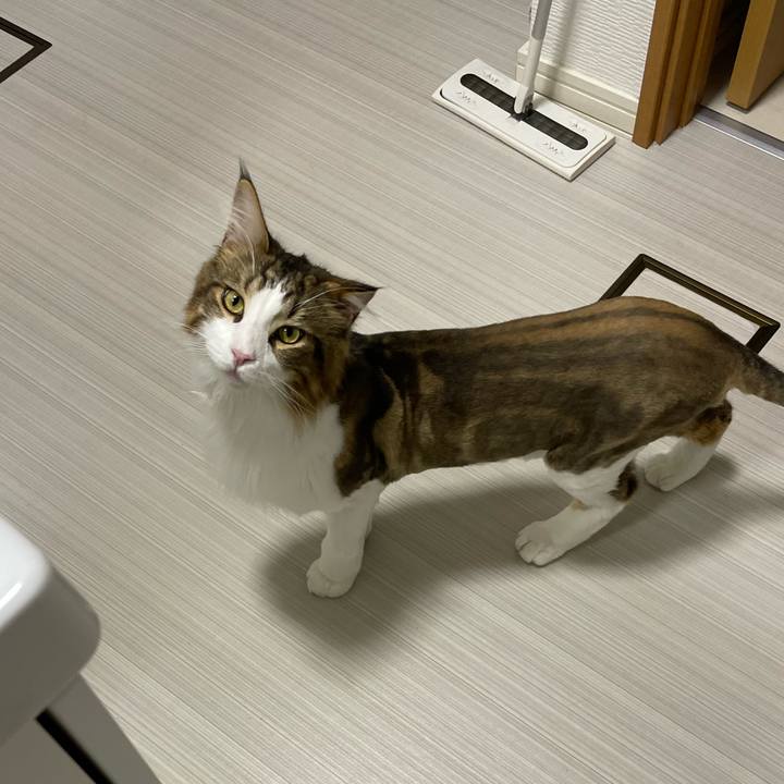 6c197197 8f85 4a83 a944 a1e96c648206 1659532787108