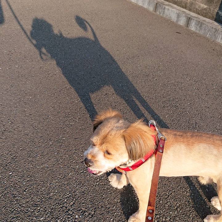 6c19980d 28d4 4485 9aad 482f3ed49af5 1563190967378