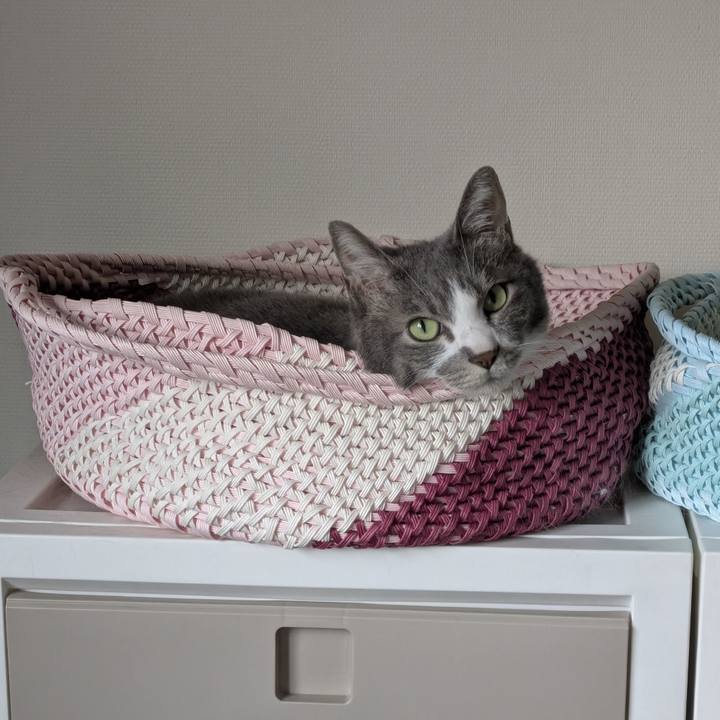 6c19c90d bbc5 4cf4 943b cb3410fd45e5 1756082624118