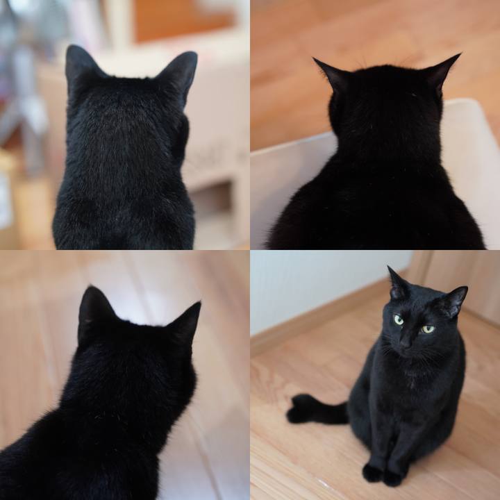 6c19dbb9 6e6e 4ea0 9c9a c753d57ffa8f 1626096543947