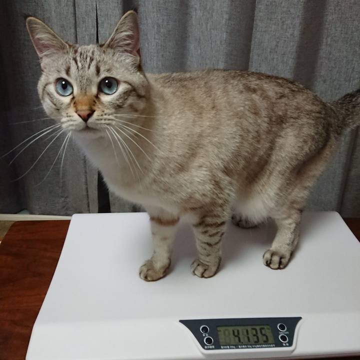 6c19fd0d ded9 456b a9bf 01a0ec5171e8 1600769053543