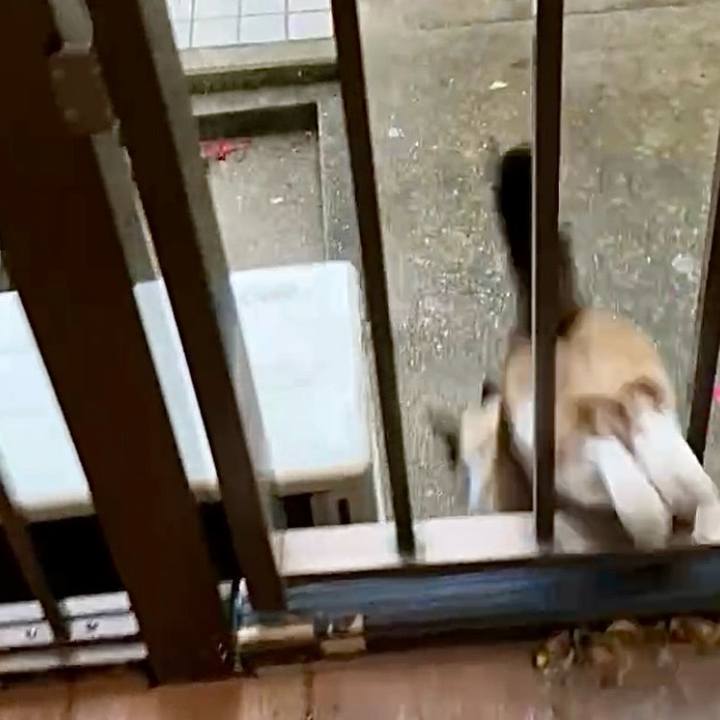 6c19fe89 889b 43ab ba23 18a2cc374dc1 1736683005673