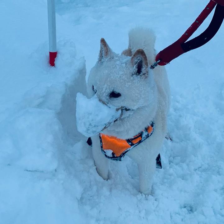 6c1a0738 3e0f 41ba b5d3 bf4d6a482bf9 1671143645895