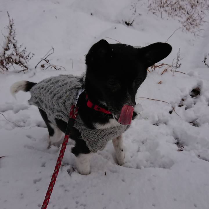 6c1a2782 07b2 449f 838d 6bb574223fb9 1640950274706