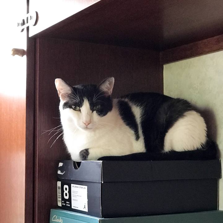 6c1a4600 1557 47a4 a92b b475dc8ae556 1534382899908