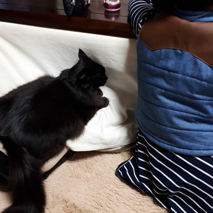 6c1a497a a1cc 4fd4 b242 562486042794 1519635474020