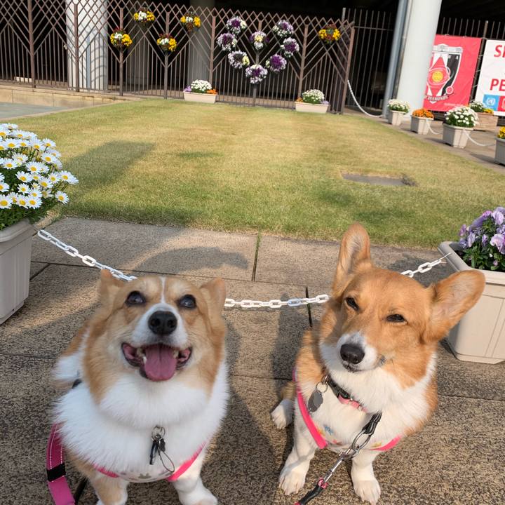 6c1a55c0 98d5 4a96 a0af 552ef265b768 1587019864293