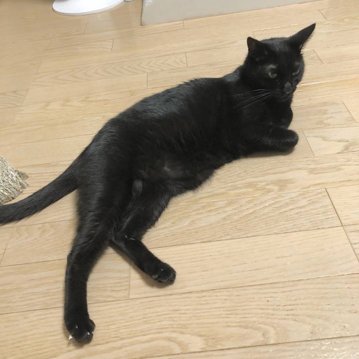 6c1a5669 805a 4909 88f3 98f35537a957 1631278327487