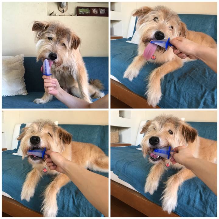 6c1a61ac fa28 461a 829f 79116438719d 1535598099098