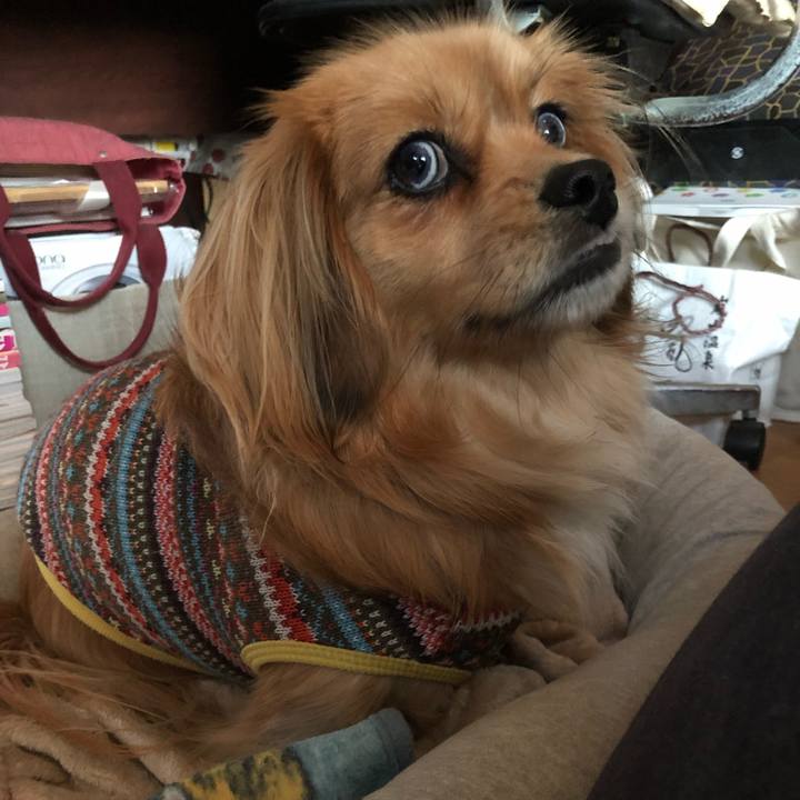 6c1a7a47 0d2b 4c72 b000 00d63918e98b 1554329126255