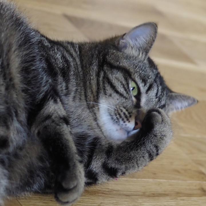 6c1a8309 bee0 4169 aed5 3cac73b3fdf9 1623842202209