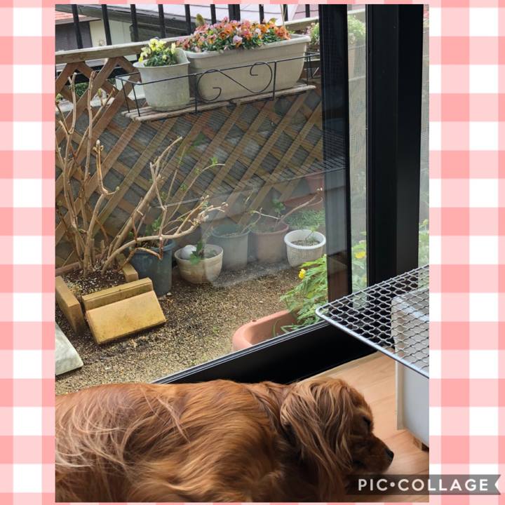 6c1a8f5c 4034 4ac2 b27a 4958b275e10d 1583753413504