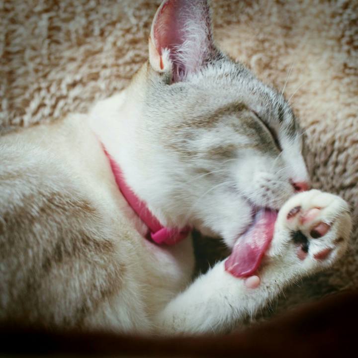 6c1abcfc 56dc 49c1 94e1 41b5dee6cdeb 1517305172801