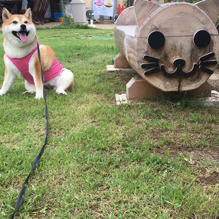 6c1adba4 c6da 4165 9125 284632c0e9f2 1567337298199