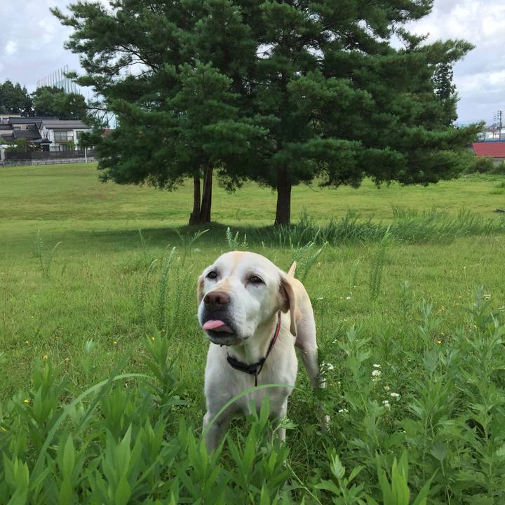 6c1aeddd 3d68 4bcf 8e83 190ab7c15915 1553695611202