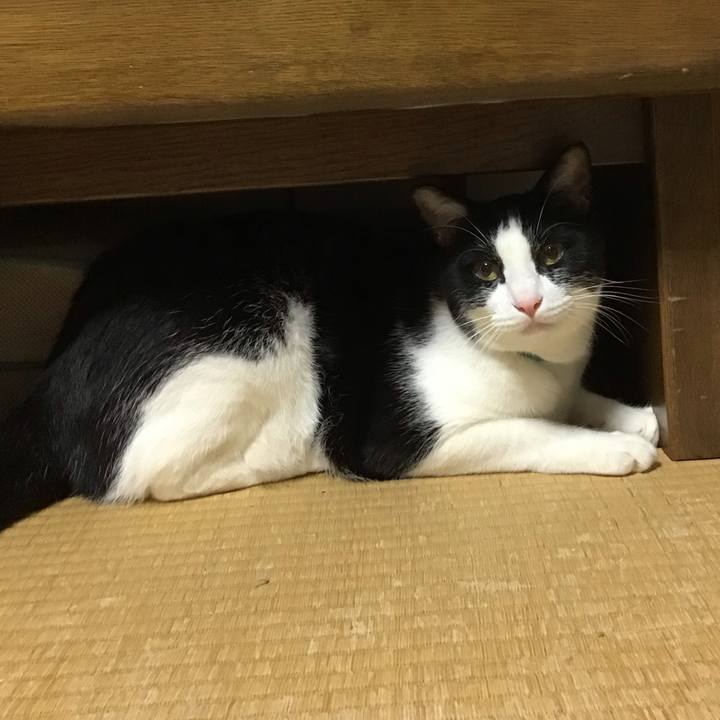 6c1af737 7206 44f0 ae62 f2322a34634a 1695376623413