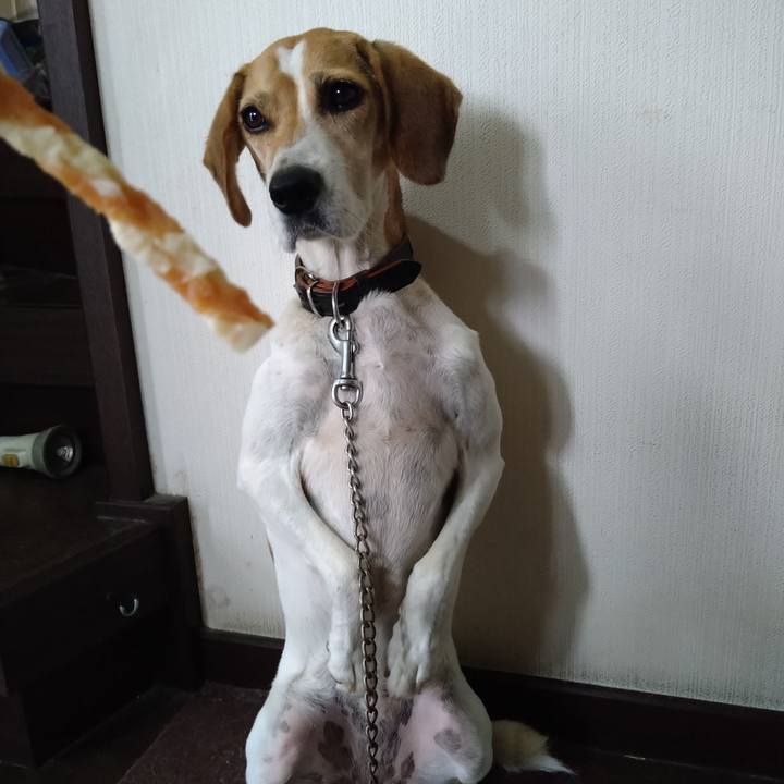 6c1afa04 436d 4de2 a722 fa4546dbb9f7 1662619245315