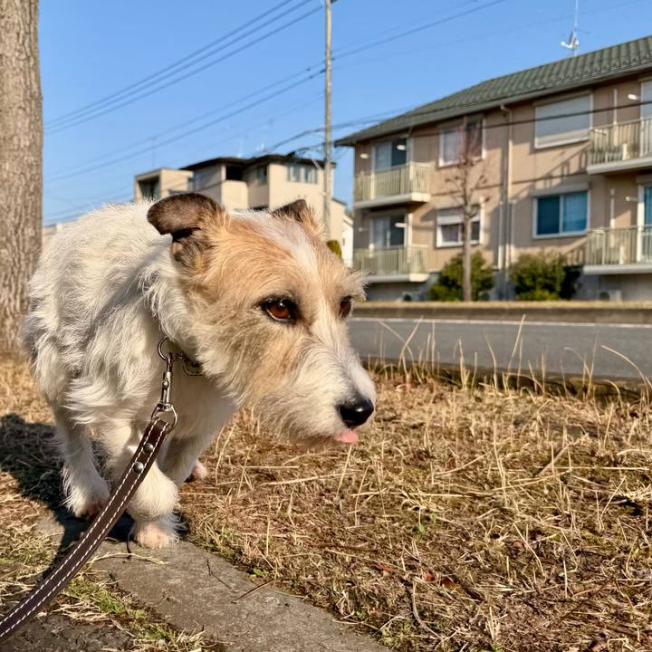 6c1b3439 51c5 4073 abbf ec26b871de5b 1774113068610