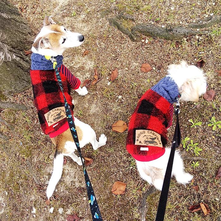 6c1b4bbb b9b8 439a 903b 87c343ee6905 1544331924858