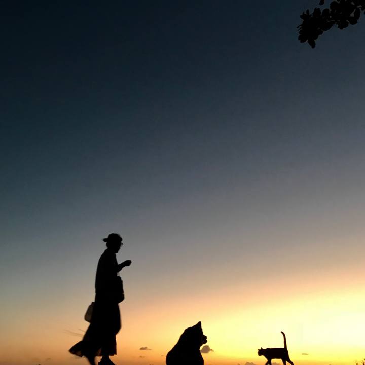 6c1b4f28 3691 4fda b621 3252225262b0 1508234084113