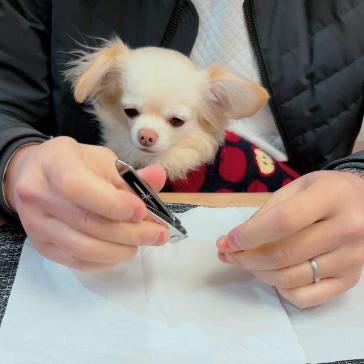 6c1b5629 27ca 4b0d bd1e d071d1bfe5ce 1703406814530