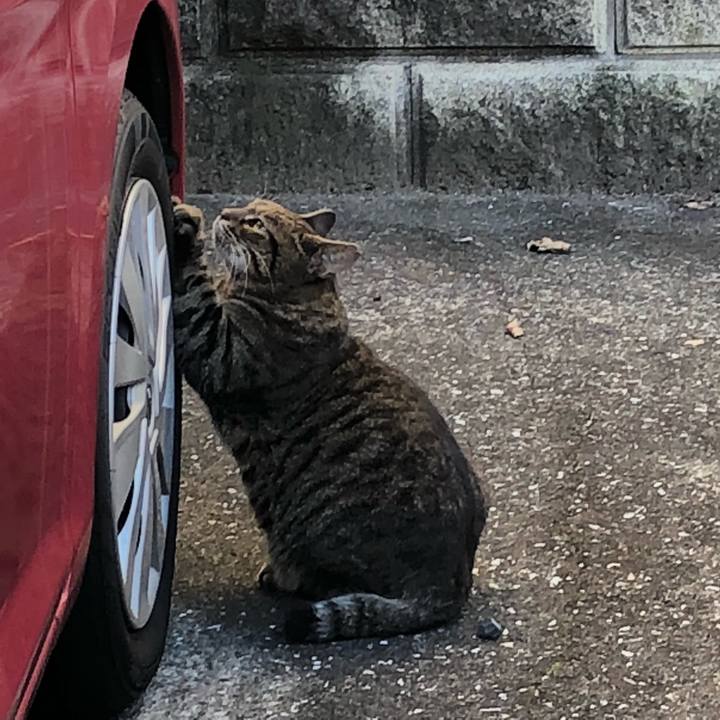 6c1b63a7 e420 497e 86c6 109386de261e 1538832366365