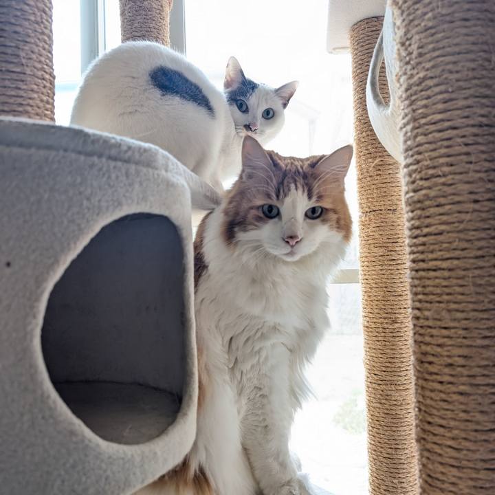 6c1baf66 a1d6 4242 9b5e 3ca5cfcb4fb1 1766369576763