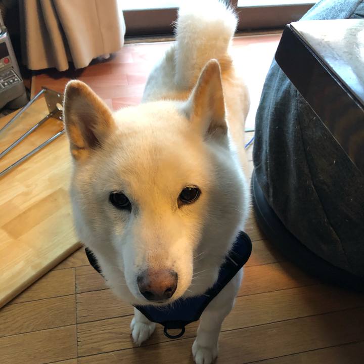 6c1bb198 00af 47de bc96 c1ce051e945f 1646776551626