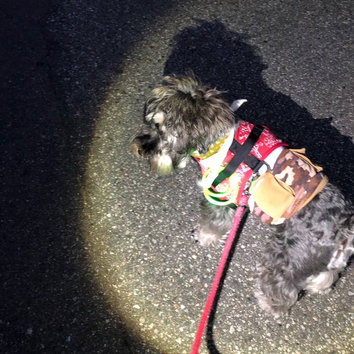 6c1bc989 e4f1 434d a742 5fa889924fd0 1565437272037