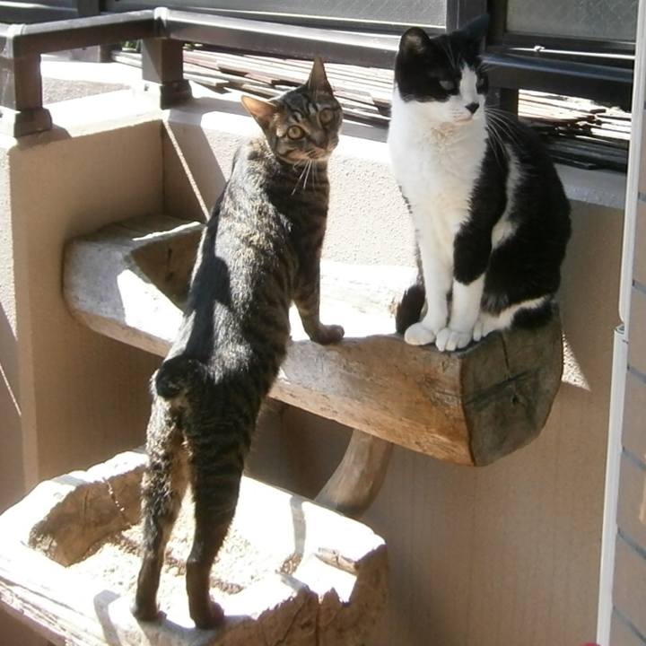 6c1beda6 926c 4b93 844e 4fbaf101a3a9 1524953679875